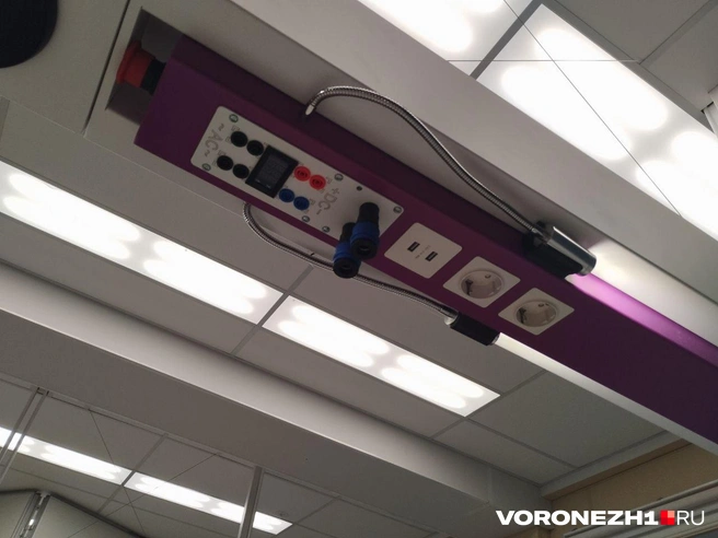 Источник: Дмитрий Волгин / Voronezh1.ru