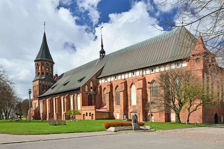 Источник: Trofimenko Sergei / Shutterstock/Fotodom.ru