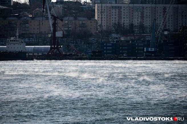 Источник: Елена Буйвол / VLADIVOSTOK1.RU