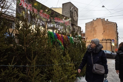 Елочные базары открылись в Новокузнецке: адреса и график