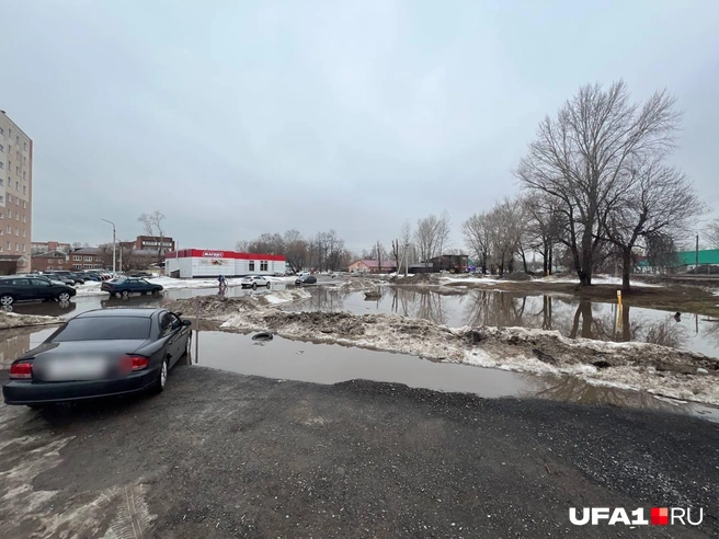 Шакшинская лужа | Источник: читатель UFA1.RU