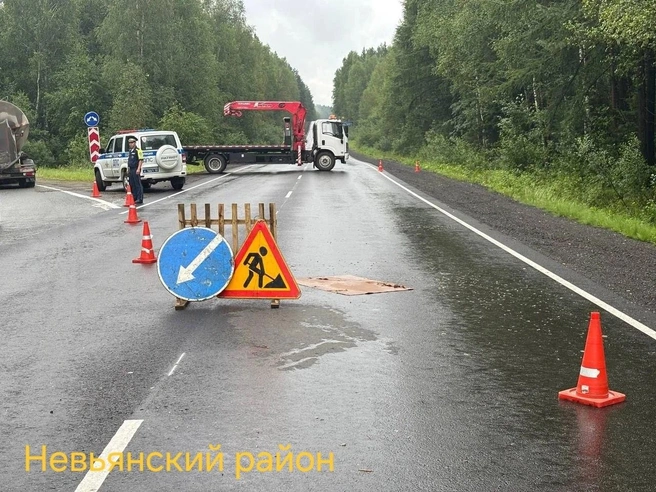 Источник: Госавтоинспекция Свердловской области