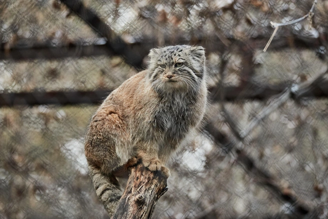 Для посещения придется предъявить документ | Источник: Александр Ощепков / NGS.RU
