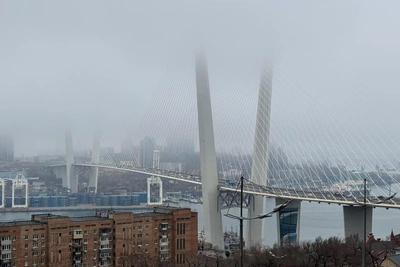 Сырость, туман и ветер: погода в Приморье 26 апреля