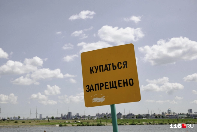 Купаться там разрешено, но из-за этого вы можете подхватить заразу | Источник: Лина Саитова / 116.RU