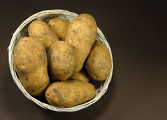 Описание сорта картофеля Ривьера и уход за ним