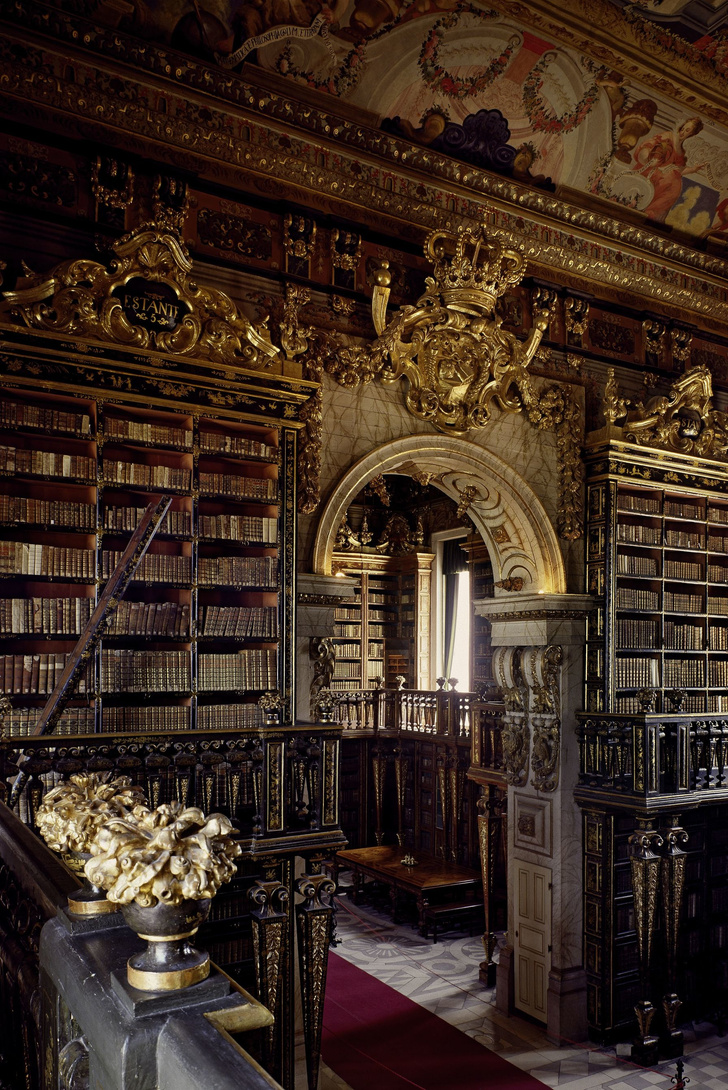 Самые потрясающие библиотеки мира (фото 31)