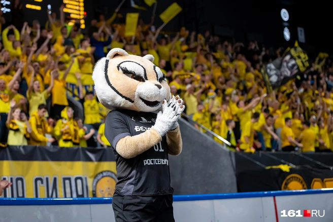 Источник: Евгений Вдовин / 161.RU