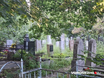 Источник: Алёна Воропаева / Voronezh1.ru