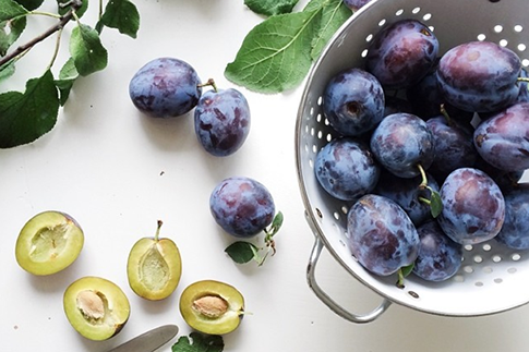 Источник: Instagram (запрещенная в России экстремистская организация) @sarkababicka