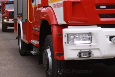 Пожарные в Благовещенске приехали на ложный вызов из-за тараканов