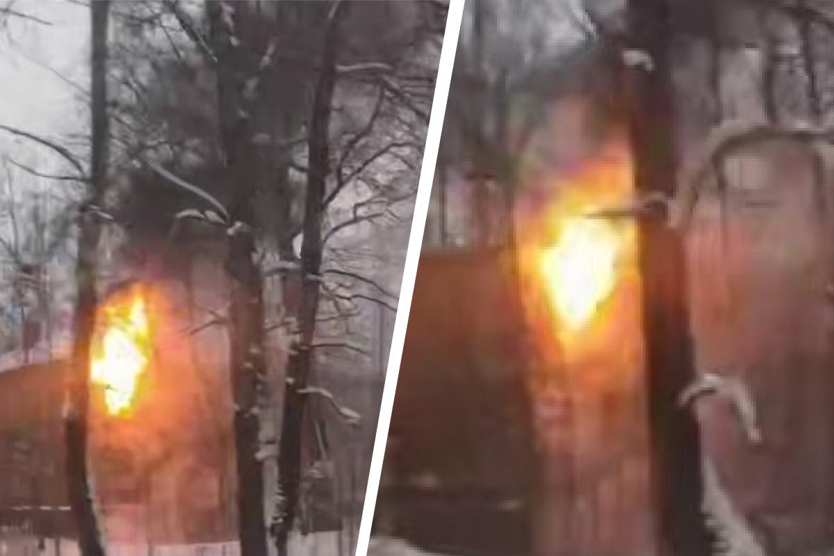 В Архангельске загорелся дом: спасатели сообщили о пострадавшем