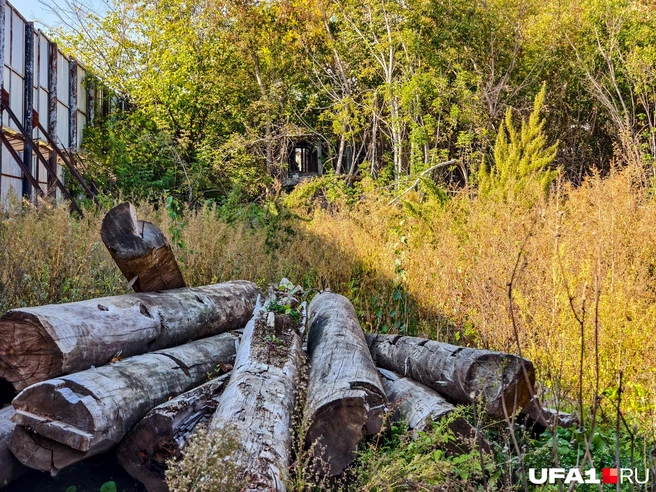 Это все, что осталось от некоторых домов | Источник: Булат Салихов / UFA1.RU