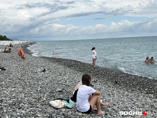 Купаться сейчас безопасно | Источник: Анна Грицевич / SOCHI1.RU