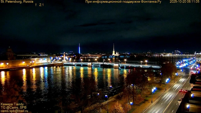 Кадр супервидовой веб-камеры | www.fontanka.ru