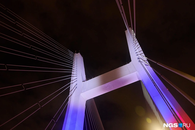 В честь открытия пилон окрасился в цвета российского флага | Источник: Александр Ощепков / NGS.RU