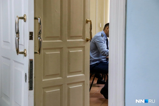 Дело начали рассматривать в прошлом ноябре | Источник: Наталья Бурухина / архив NN.RU