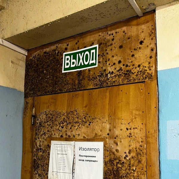 Источник: читатели V1.RU