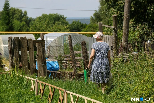 Огороды находятся прямо перед теремом | Источник: Наталья Бурухина / NN.RU