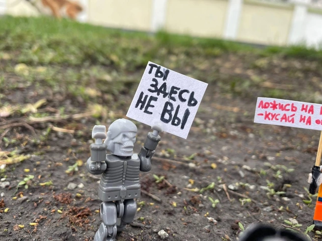 По традиции митингующие вышли с шуточными транспарантами | Источник: «Шахов на ветке» / T.me