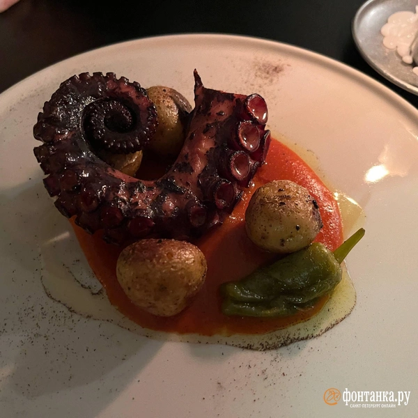 Источник: Дмитрий Грозный / «Фонтанка.ру»