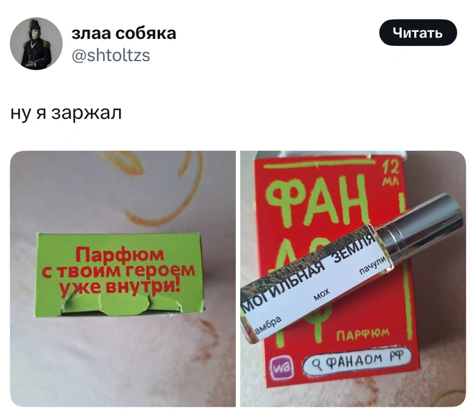 Источник: X (Twitter)