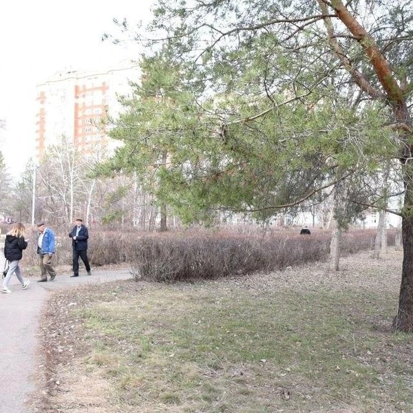 Источник: мэрия Оренбурга