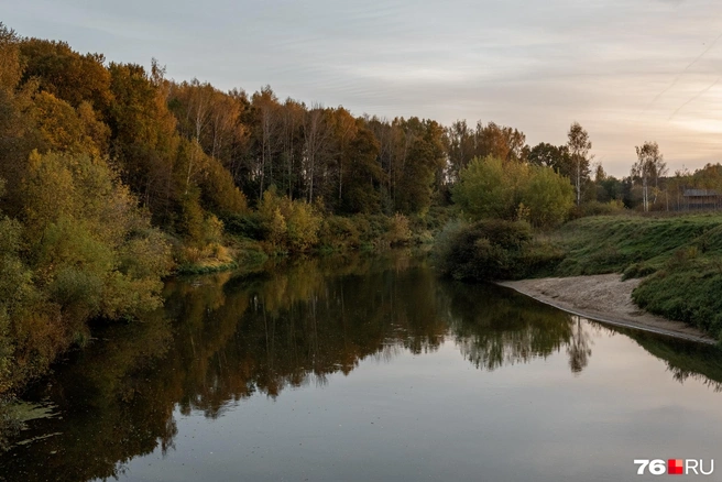 Краски заката дополняют яркую осеннюю палитру | Источник: Александр Куренной / 76.RU