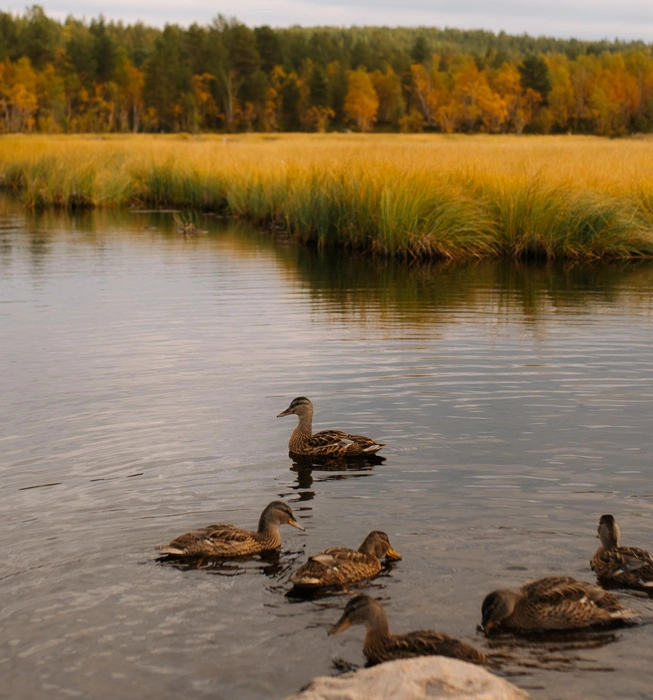 Спорткомплекс «Снежинка» | Источник: Дарья Яремчук
