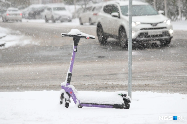 Источник: Андрей Бортко / NGS.RU