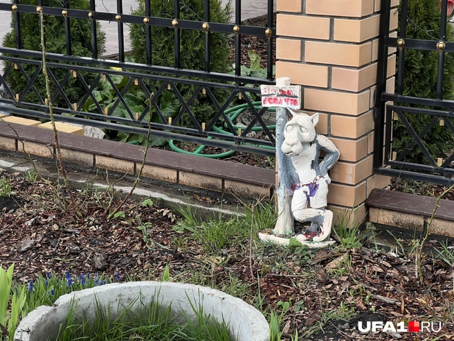 В городе его бы уже кто-нибудь выкрал | Источник: Андрей Бирюков / UFA1.RU