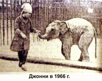 Джонни-малыш | Источник: История Перми / vk.com