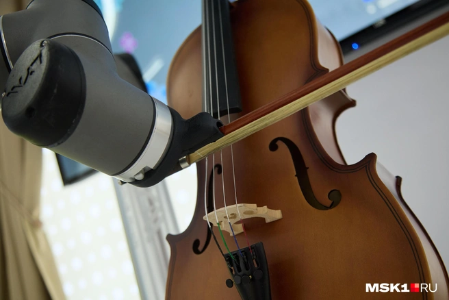 Источник: Дмитрий Толстошеев / MSK1.RU