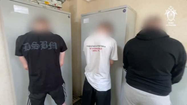 Трое молодых ярославцев подозреваются в создании экстремистского сообщества | Источник: УСМИ СК России / Max