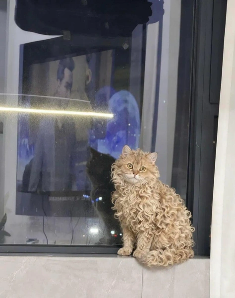 Источник: Социальные сети