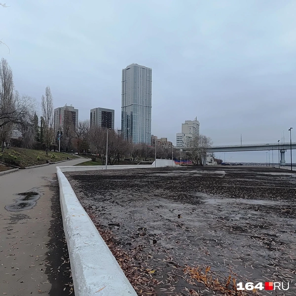 Источник: Сергей Гендин / 164.RU