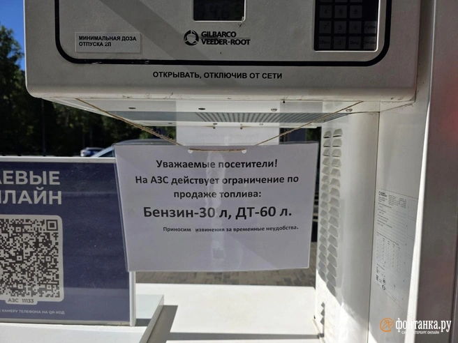 Источник: Наталья Вязовкина / «Фонтанка.ру»