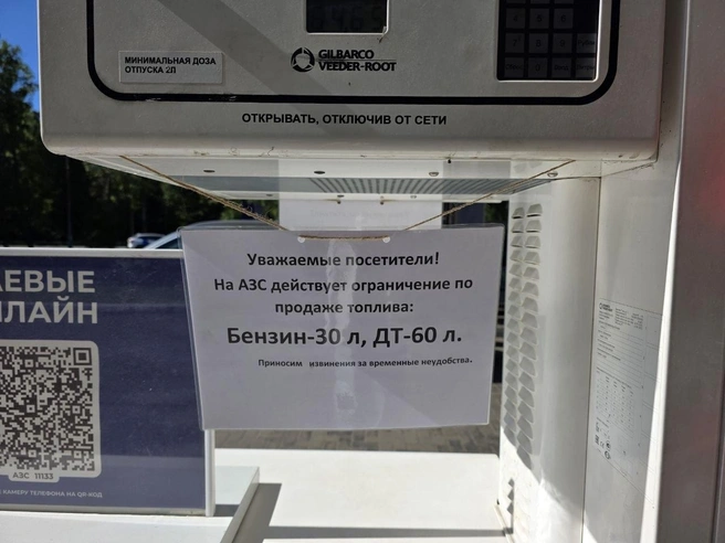 Источник: Наталья Вязовкина / «Фонтанка.ру»