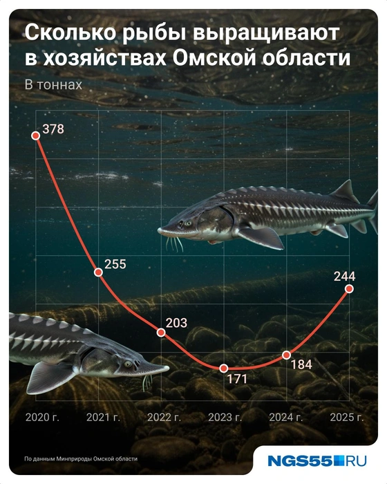 После спада вновь начался рост производства аквакультуры | Источник: Евгения Бикунова / Городские медиа