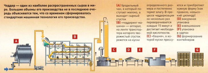 География сыра: где и как делают 15 сортов самого популярного молочного продукта