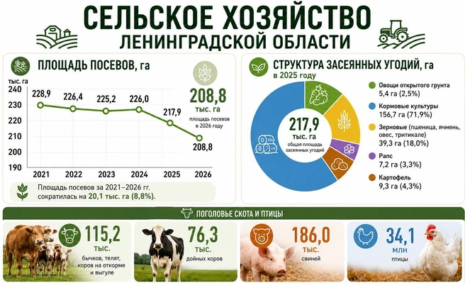 Сельское хозяйство Ленобласти | Источник: Петростат