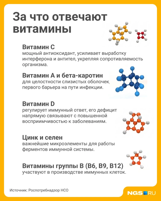 Витамины группы В полезны и для нервной системы | Источник: Юрий Орлов / Городские медиа