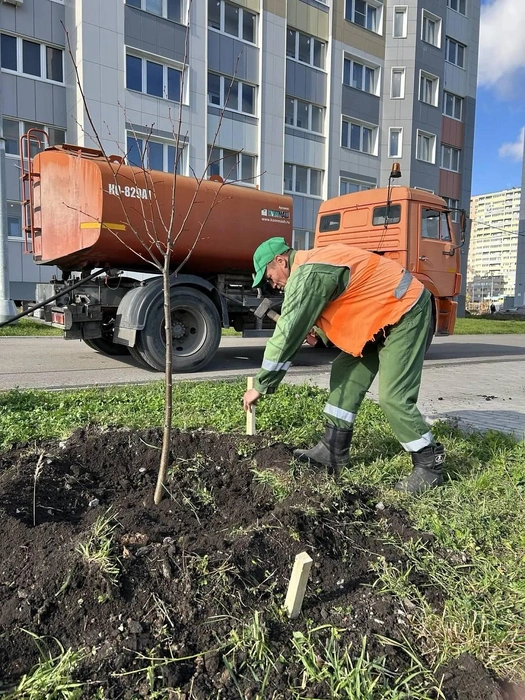 Источник: lipetskcity.ru