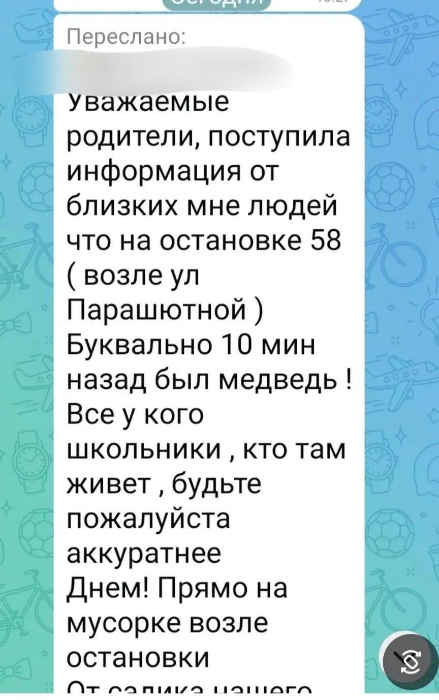 «Кто там живет, будьте, аккуратнее»: в Свердловском районе переполох из-за медведя — что говорят в…