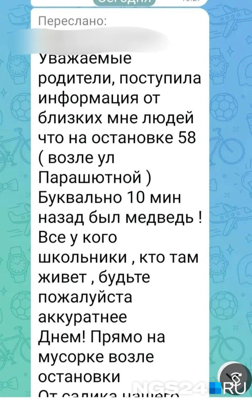 Сообщение в одном из чатов Красноярска | Источник: читатель NGS24.RU