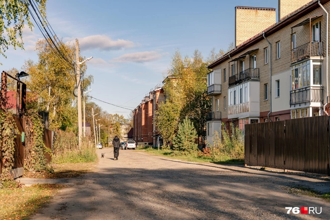 Так выглядит сама улица | Источник: Кирилл Поверинов / 76.RU