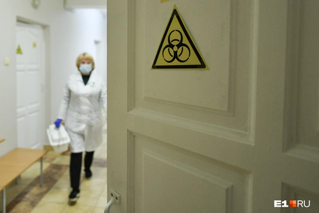 Мыши переносят множество инфекций | Источник: Артём Устюжанин / E1.RU