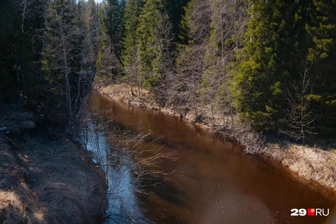 Река Вёжма | Источник: Иван Митюшёв / 29.RU