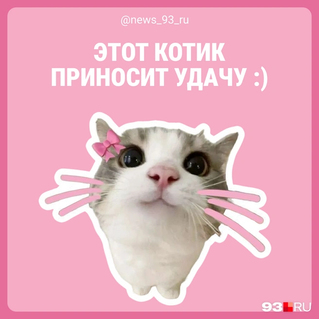 Да-да, тыкай на голубые буквы | Источник: 93.RU