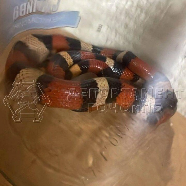 Источник: Департамент ГОЧСиПБ / Вконтакте